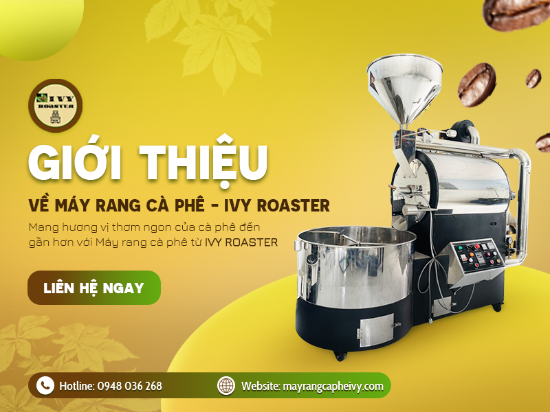 GIỚI THIỆU VỀ MÁY RANG CÀ PHÊ - IVY ROASTER