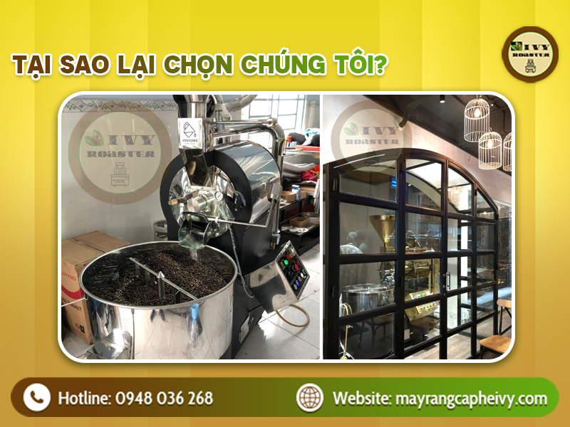 GIỚI THIỆU VỀ MÁY RANG CÀ PHÊ - IVY ROASTER